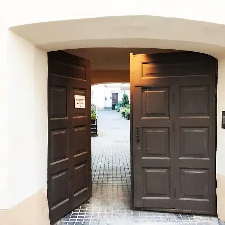 Luxury Old Town 公寓 维尔纽斯